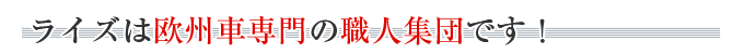 ライズは欧州車専門の職人集団です！