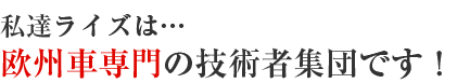 私達ライズは…欧州車専門の技術者集団です！